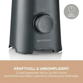 Severin SM 3743 Standmixer