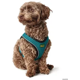 Hunter Hilo Comfort Hundegeschirr Türkis S-M