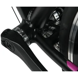 WYLD Rennrad 28'' Whirlwind 100 Schwarz 16 Gänge