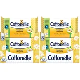 Cottonelle Feuchtes Toilettenpapier, Natürlich Pflegend - Kamille & Aloe Vera, Biologisch Abbaubar, Plastikfrei, Wiederverschließbar, Vorteilspack, 12 x 42 Feuchttücher (Packung mit 2)