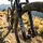 RockShox Lyrik Ultimate 29 Zoll 15 mm 2023 Schwarz