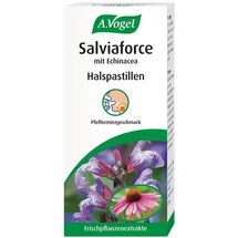 A. Vogel Salviaforce Echinacea Halspastillen 20 St.