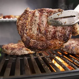Weber Genesis E-315 Gasgrill 2024 Schwarz