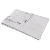 franknatur Bettdecke Sommer Wild-Seide Bio Baumwolle KBA Natur Nika 135x200