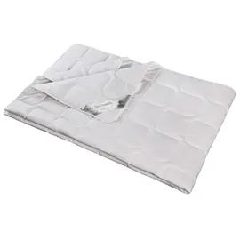 franknatur Bettdecke Sommer Wild-Seide Bio Baumwolle KBA Natur Nika 135x200