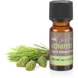 Höfer Chemie Duftöl Konifere 10 ml
