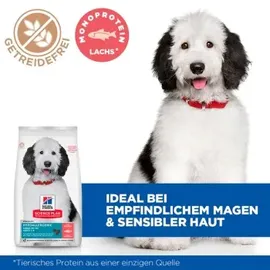 Hill's Hypoallergenic Large Breed Adult mit Lachs 2 x 14 kg