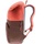 Deuter Overday raisin/currant