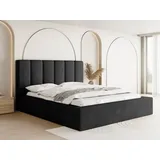 WFL GROUP Polsterbett Amira mit Bettkasten Schwarz Samt 200x200 cm