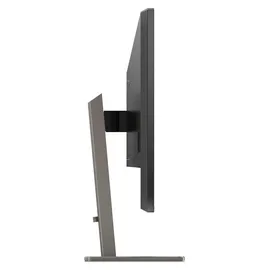 Philips P-Line 439P1/00 43"