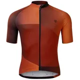 Dare 2b Dare2b Lgtngshortslve arabspgradpr (ZIC) XS