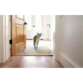 sonoff cam slim 2. generation CAM-S2 Weiß