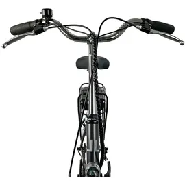 Llobe Pure 20 Zoll RH 43 cm schwarz