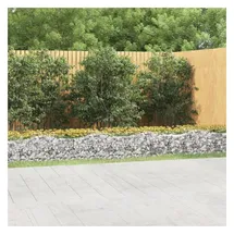 vidaXL Gabionen-Hochbeet 600 × 50 × 50 cm