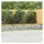 vidaXL Gabionen-Hochbeet 600 × 50 × 50 cm