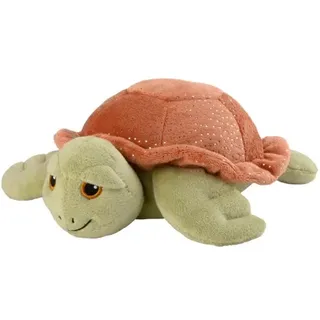 Meeresschildkröte
