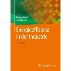 Energieeffizienz in der Industrie