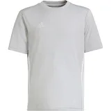 Adidas Tabela 23 Trikot Kinder - team light grey/white