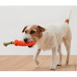 Tchibo - Hundespielzeug »Karotte« - olivgrün