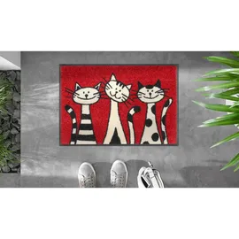 Wash+Dry Three Cats 40 x 60 cm Rot
