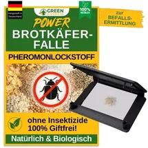 green guardia Brotkäfer Falle Pheromonfalle 5 x Fallen