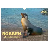 Calvendo Robben - überall zuhause (Wandkalender 2026 DIN A4