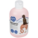 DUVO+ Tiershampoo Hundeshampoo entwirrend, 100 ml