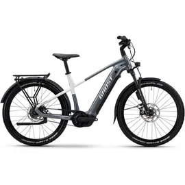 Ghost E-Teru Pro EQ High 2025 29 Zoll RH 50 cm grau/weiß