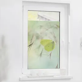 Lichtblick Fensterfolie Schmetterling Grün B/L: 50 x 100 cm