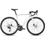 Focus Izalco Max 8.7 Silver Glossy / White Glossy - XL
