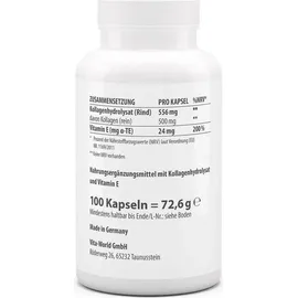 VITA-WORLD Vita World Kollagen 500 mg + Vitamin E Kapseln 100 St.