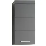 trendteam Hängeschrank Amanda 37 x 77 x 23 cm Agave Grau Hochglanz