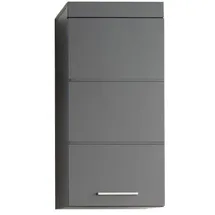trendteam Hängeschrank Amanda 37 x 77 x 23 cm Agave Grau Hochglanz