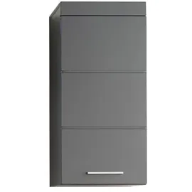 trendteam Hängeschrank Amanda 37 x 77 x 23 cm Agave Grau Hochglanz