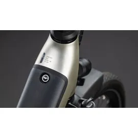 Cube Supreme RT Hybrid Comfort EXC 600 2026 28 Zoll RH 50 cm champagne ́n ́grey