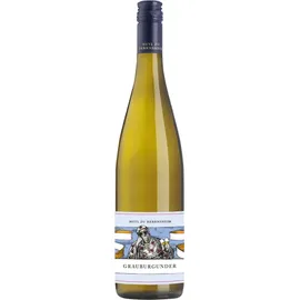 Weingut Freiherr Heyl zu Herrnsheim Grauburgunder trocken Weingut Freiherr Heyl zu Herrnsheim 2024