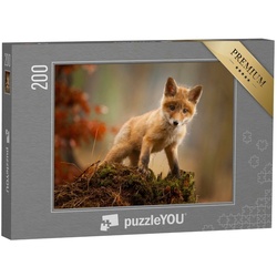 puzzleYOU Puzzle Ein junger Fuchs, 200 Puzzleteile, puzzleYOU-Kollektionen Tiere, Füchse, 48 Teile, Schwierig, 100 Teile