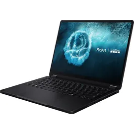 Asus ProArt PX13 13,3'' AMD Ryzen AI Max+ 395 128 GB RAM 2 TB SSD Win11 Pro