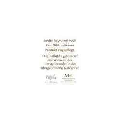 Style Flooring FP124Eiche Lech