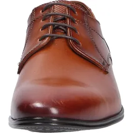 LLOYD Osmond braun 40,5