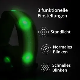 petsation Leuchthalsband Hundehalsband Grün S