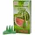 Knox Räucherkerzen Melone 24 Stück