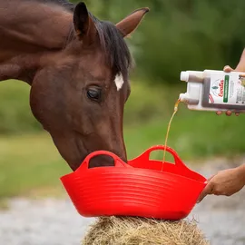 Ewalia Halswohlsaft für Pferde 1 L