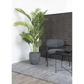 House Nordic House Nordic, Kunstpflanzen, Areca 175 cm,