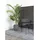House Nordic House Nordic, Kunstpflanzen, Areca 175 cm,