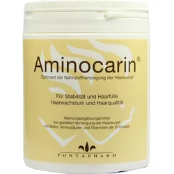 AMINOCARIN Pulver Dose 400 g Pulver