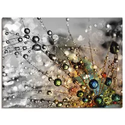 Wandbild ARTLAND "Farbenfrohe Natur", bunt (farbe bild(er): bunt), B:40cm H:30cm, Bilder, als Alubild, Outdoorbild, Leinwandbild, Poster, Wandaufkleber