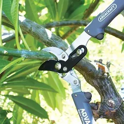 ZANI Astschere Premium AQUACRAFT| Rasenschere | Baumschere | Aluminium | SoftGrip-Technologie | erhöhte Schneidkraft um 30 %