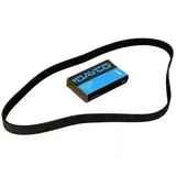 DAYCO Keilrippenriemen