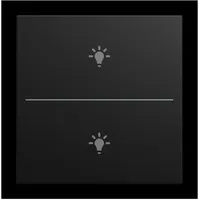 Busch-Jaeger Abdeckung LFBT/A.2.55.11-915